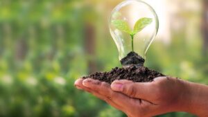 Lightbulb with a growing plant symbolising sustainable growth and innovation – representing the blueprint to double credit union lending by 2030.